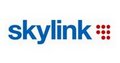 спутниковая платформа Skylink